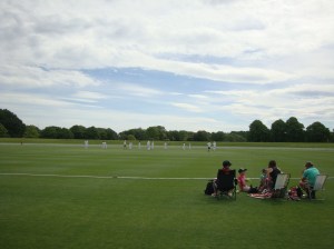 Hagley Oval during a recent visit in November 2014.